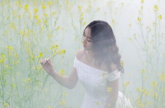 meadow, mist, flower background, fog, flower wallpaper, women, beautiful flowers, flowers, girl, nature, asia